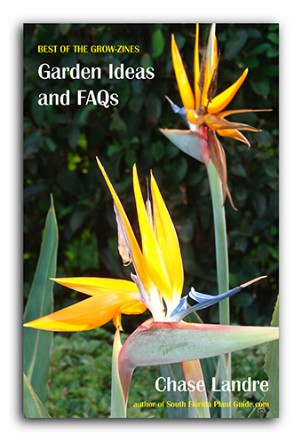 cover Garden Ideas & FAQs cover Garden Ideas & FAQs