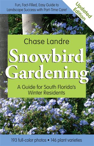 Snowbird Gardening - Best Time To Plant A Garden In South Florida