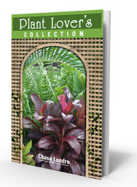 cover Plant Lover's Collecion cover Plant Lover's Collecion