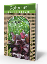 ebook cover Potpourri Collection