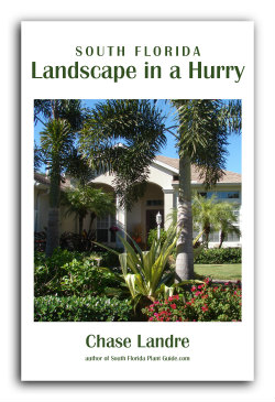 cover Landscape in a Hurry