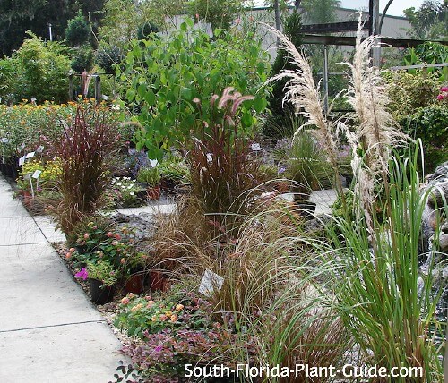 nursery walkway nursery walkway